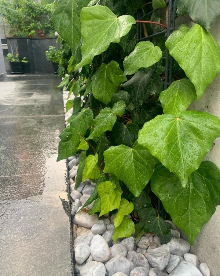 Villa Mare'S 1 سبليت المظهر الخارجي الصورة
